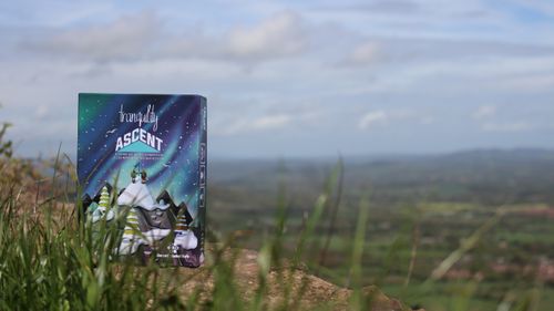 Board Game: Tranquility: The Ascent