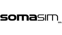 Video Game Publisher: SomaSim