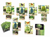 Az erdő HUN játékos kombinációk