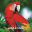 Board Game: Life of the Amazonia