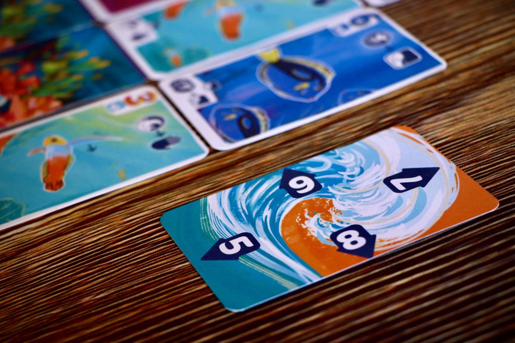 Illustration 5 de Fintastic Sea