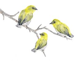 Animals: Birds | Family | BoardGameGeek