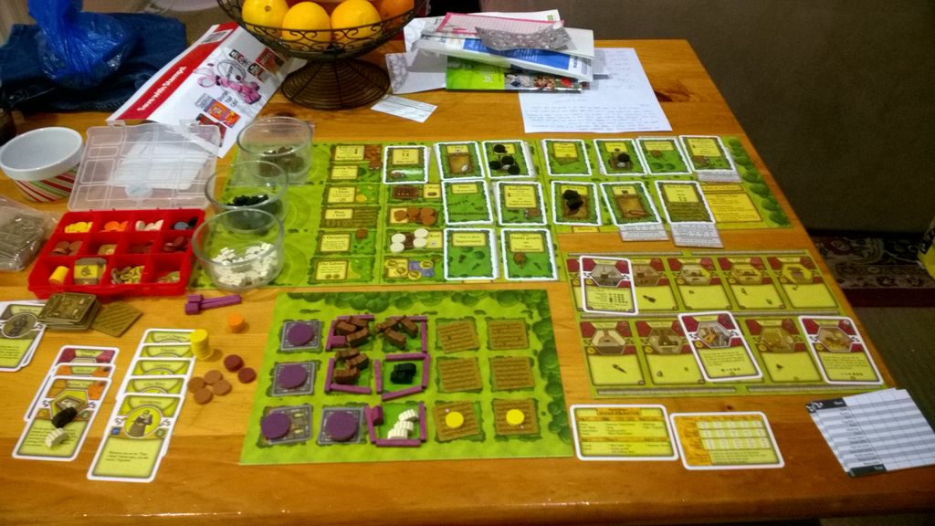 Modern Manufacture Green Expansion Board Game Agricola gamersjo.com