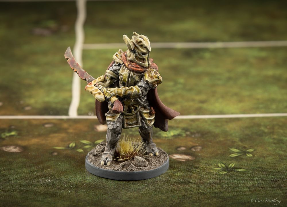 lord of the rings journeys in middle earth miniatures