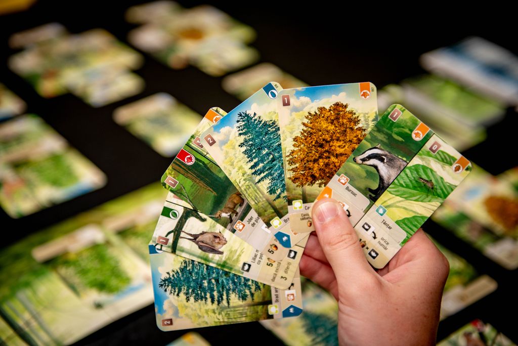 Forest Shuffle @ https://www.instagram.com/boardgamecolors/