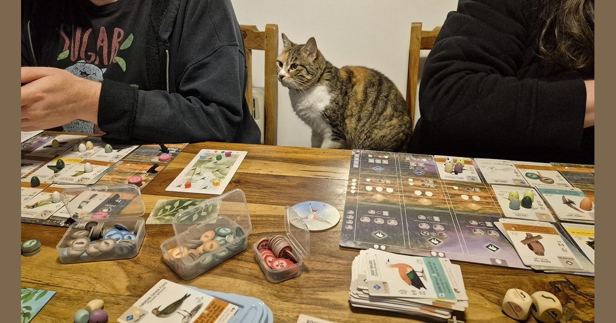 Wingspan: Americas Expansion - First Impressions | GBGB - Gregg's Board ...