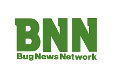 BNN