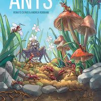 Ants