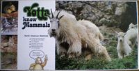 Yotta Know Mammals