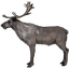 Character: Deer (Elder Scrolls)