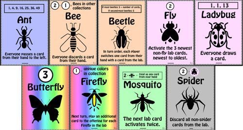 Board Game: Bugs on Rugs