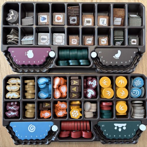 How to store deluxe tokens in tray | Stonesaga