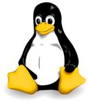Platform: Linux