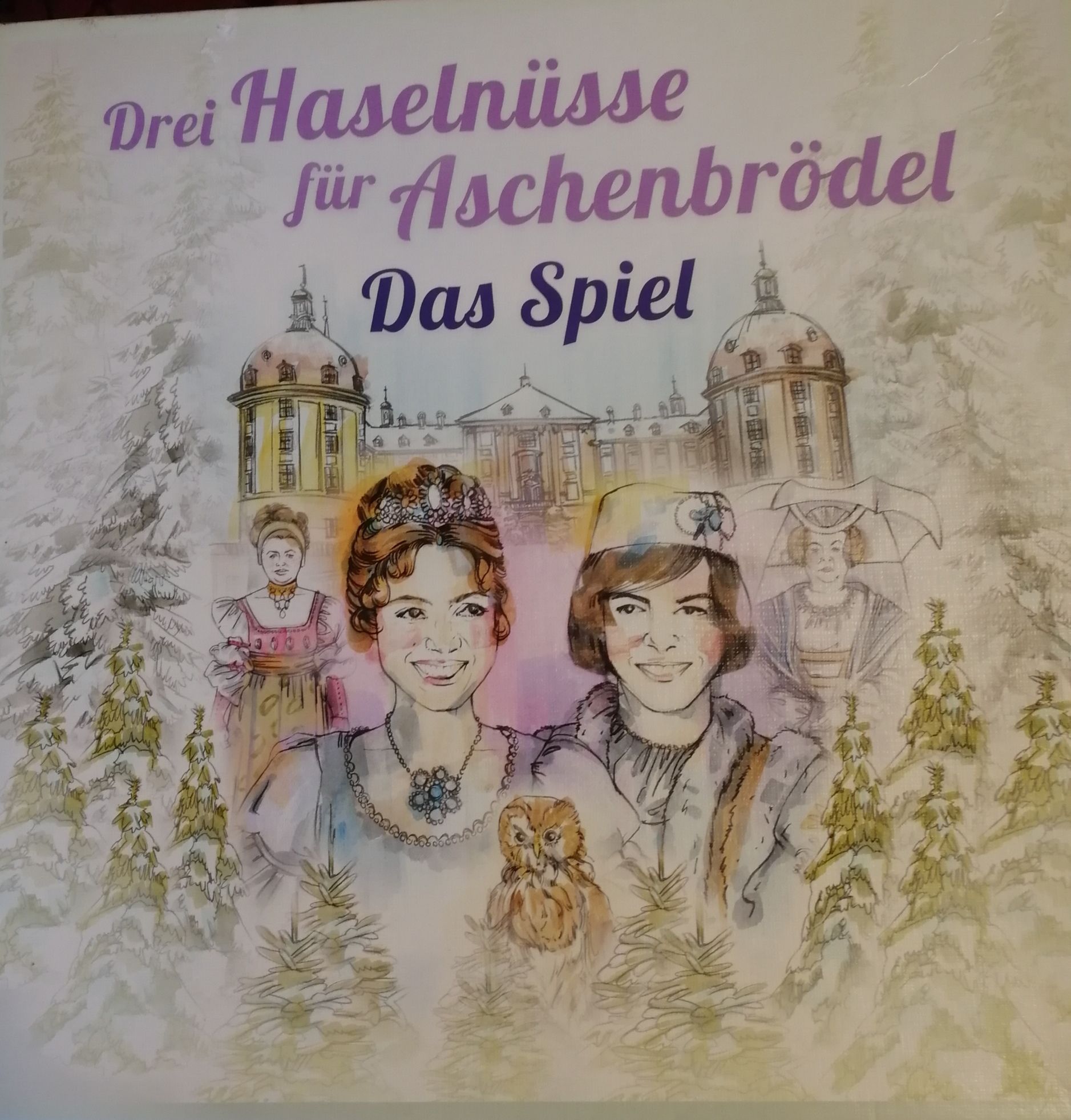 Drei Haselnüsse für Aschenbrödel: Das Spiel cover art