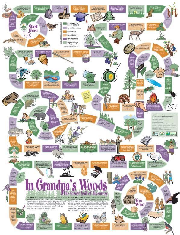 In Grandpa's Woods: The Forest Trail of Discovery