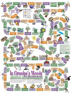 In Grandpa's Woods: The Forest Trail of Discovery