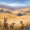 その他 Cascadia Rolling s Cascadia: Rolling Hills | Board Game | BoardGameGeek