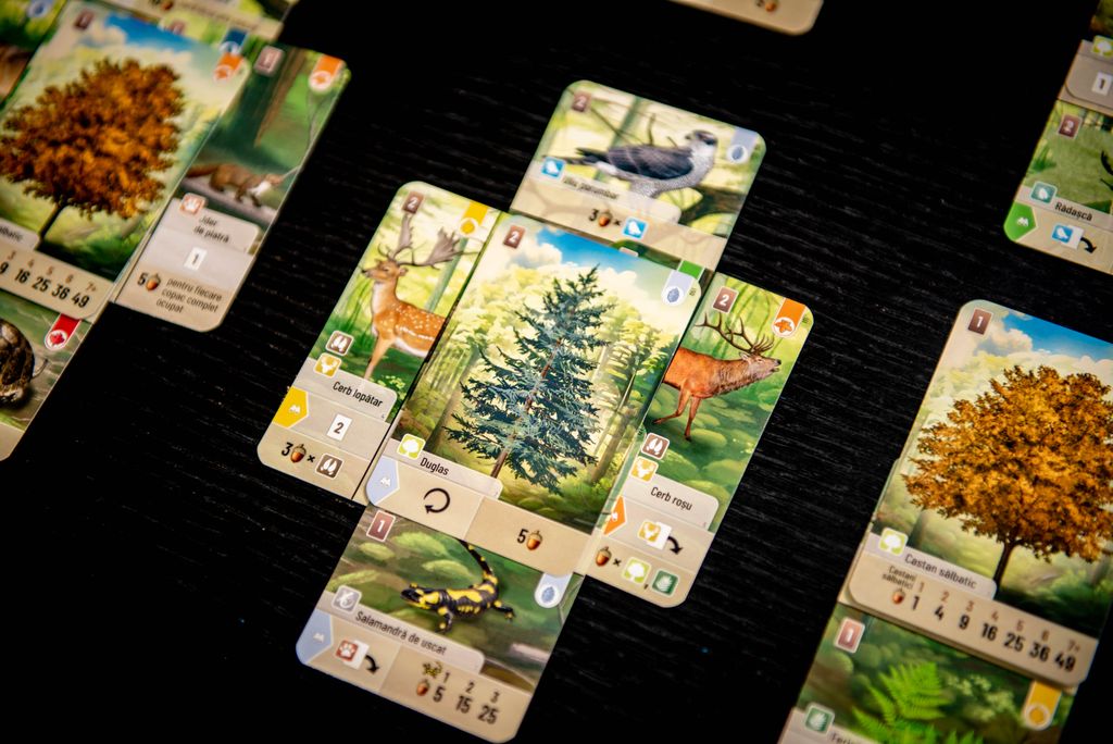 Forest Shuffle @ https://www.instagram.com/boardgamecolors/