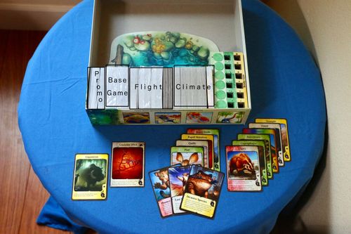 Evolution Storage Solution -- All In One Box! | Evolution