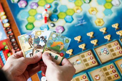 Wondrous Creatures gameplay setup