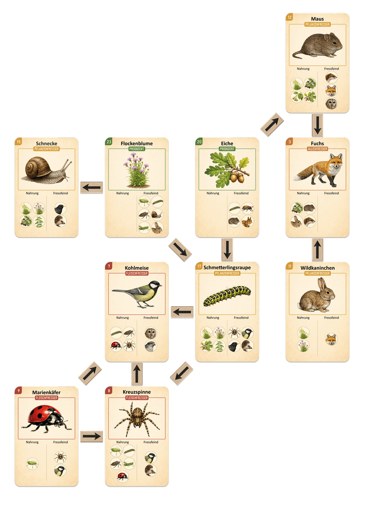 Illustration 3 de VERNE: Simple Rules, Open World, Endless Adventure!