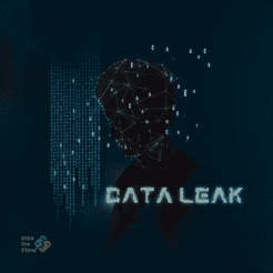 Data Leak