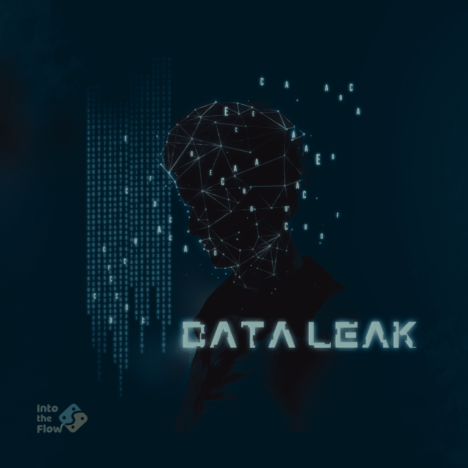 Data Leak