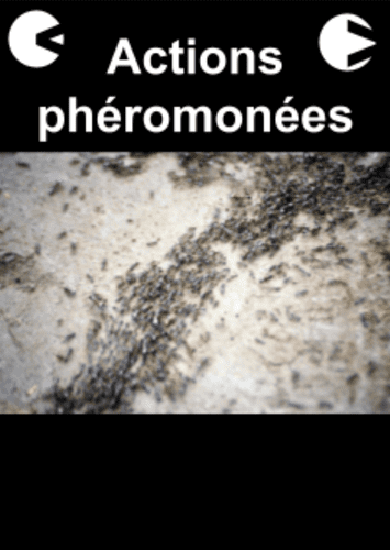 From gallery of W Eric Martin