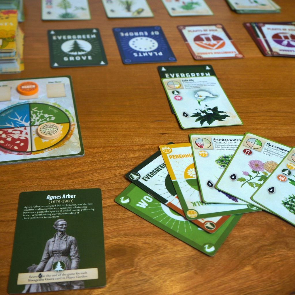 Illustration 10 de FloraVista: The Charming Botanical Garden Card Game 🌺