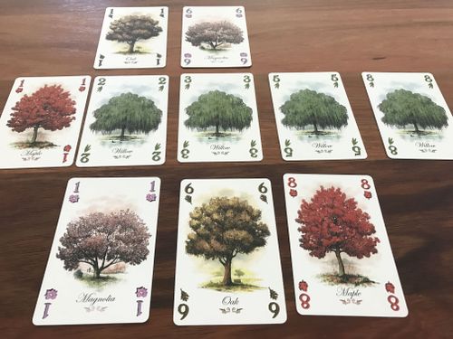 Should You Play Arboretum? | Arboretum | BoardGameGeek