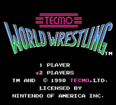 Video Game: Tecmo World Wrestling