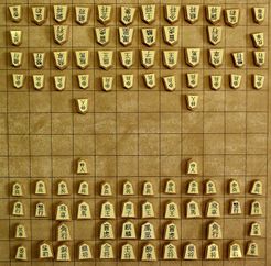 Chu Shogi, Board Game