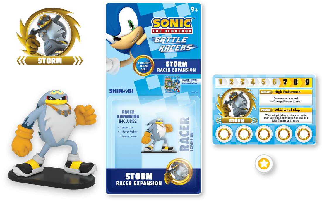Sonic the Hedgehog: Battle Racers – Storm Racer Expansion