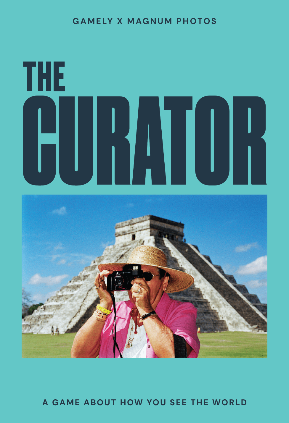 Cover art for The Curator