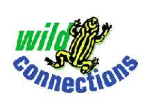 Wild Connections