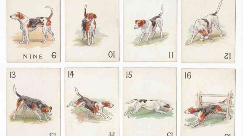 Fox and Hounds Card Game
