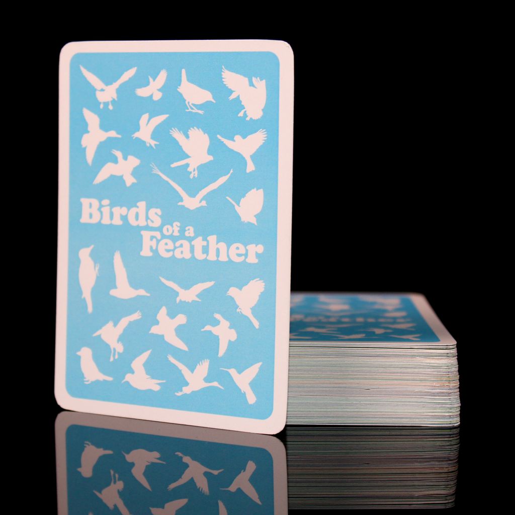 Illustration 10 de Birds of a Feather: Western North America