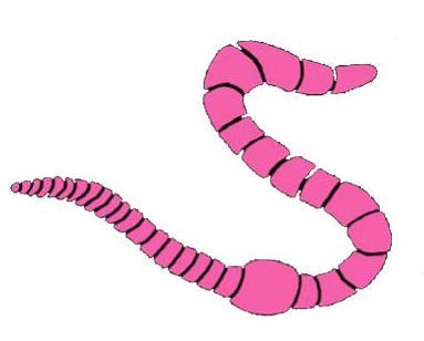The Earthworm (fan expansion for Hive)