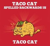 Five Nights At Taco Cat