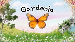 Gardenia