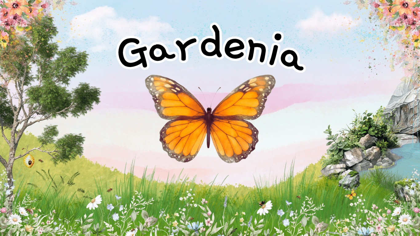 Cover art for Gardenia