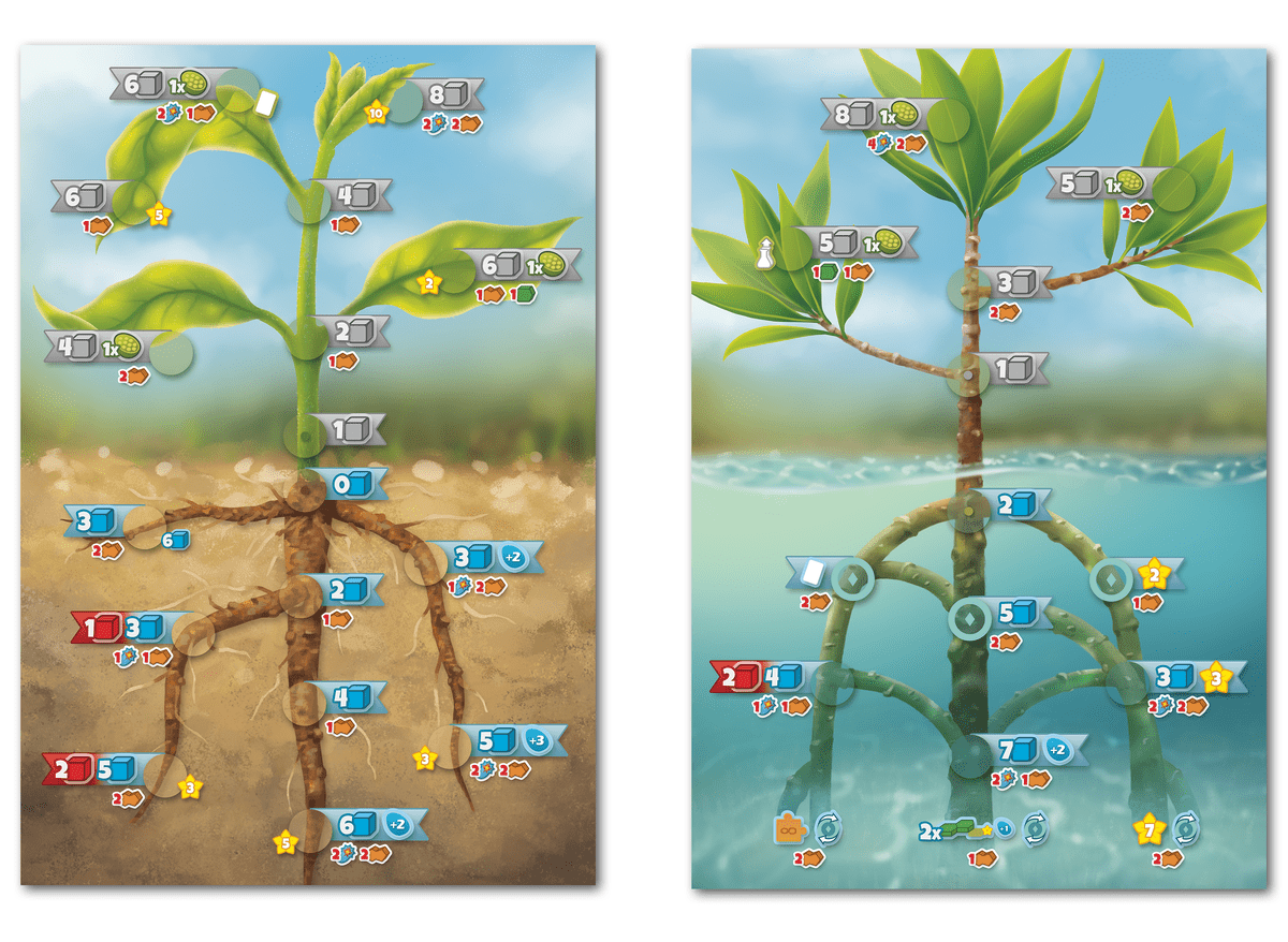 Asset image game Cellulose: A Plant Cell Biology Game
