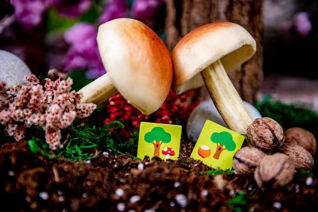 Forest First @BoardGameColors