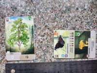 My card size is 56x86, not 57x87. Do you use 56x87 sleeves? | BoardGameGeek