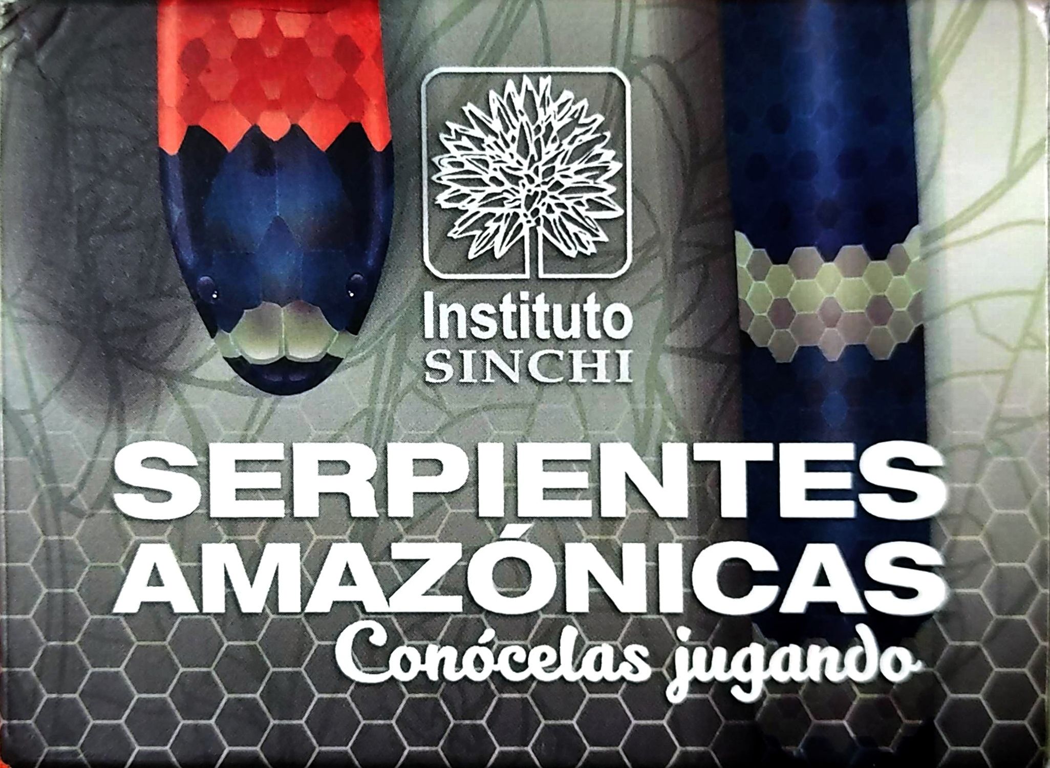 Serpientes amazónicas:conócelas jugando