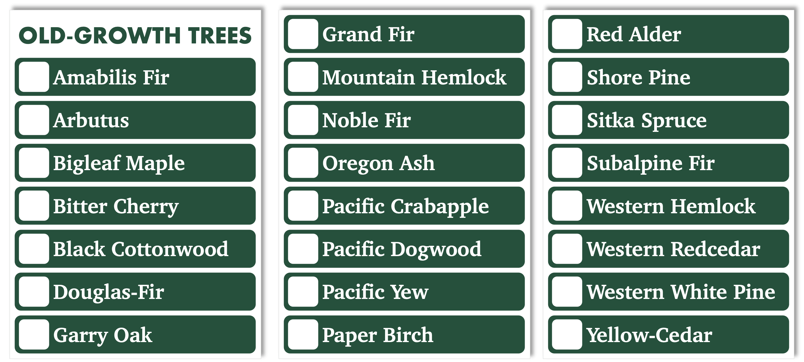 Old-Growth Tree Tracking Cards for Solitaire Mode | Reforest: Old Growth