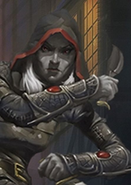 5e character builder point buy