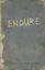 RPG Item: Endure
