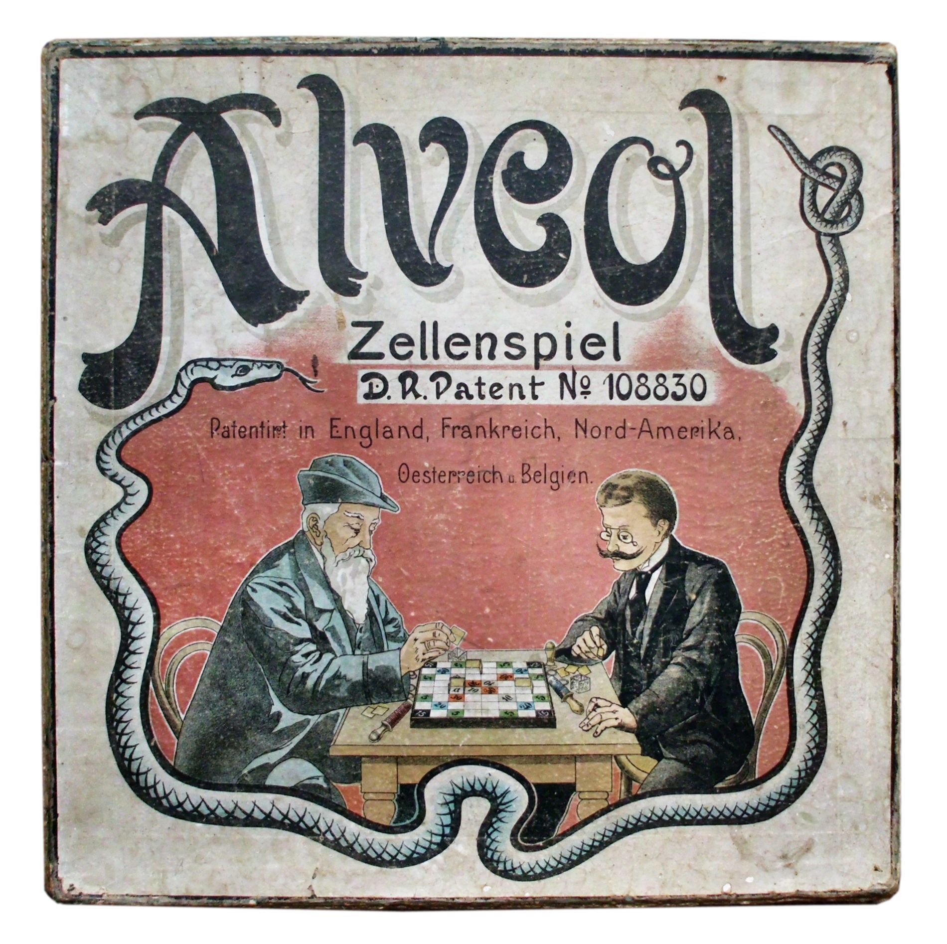 Alveol: Das Zellenspiel