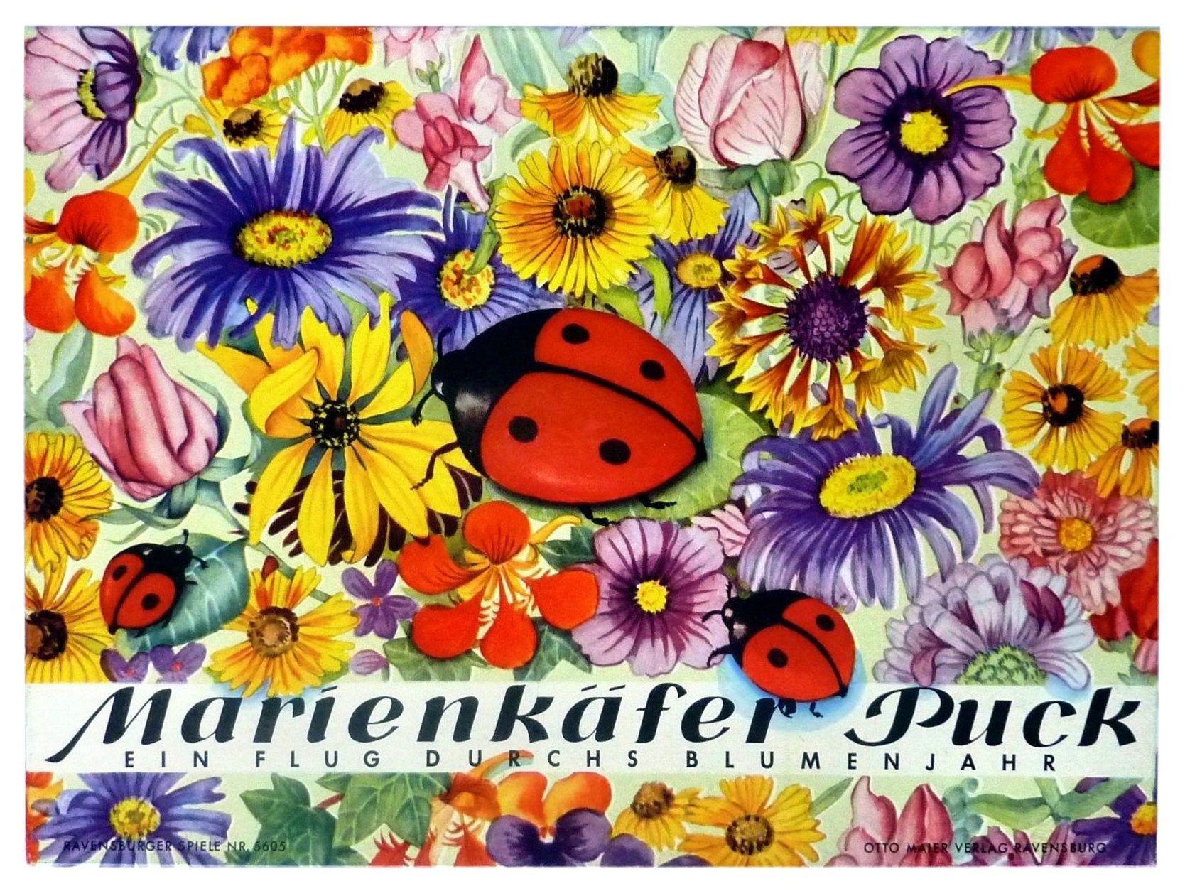 Marienkäfer Puck cover art